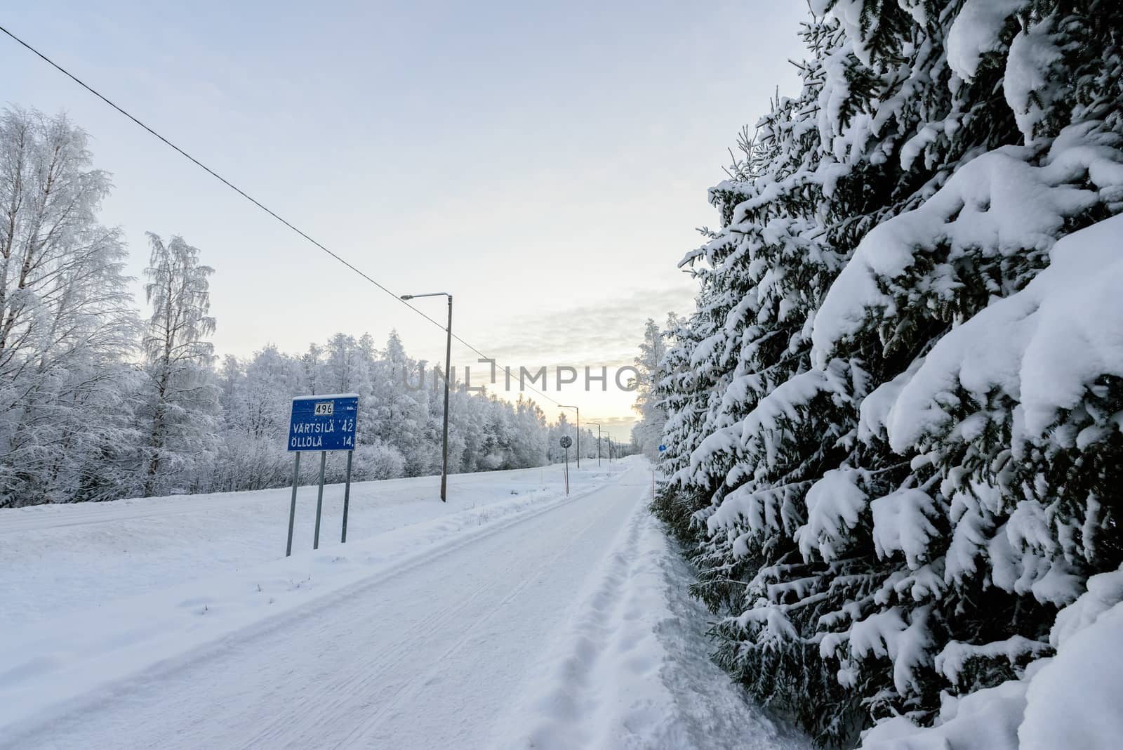 The forest has covered with heavy snow in winter season at Lapland, Finland.