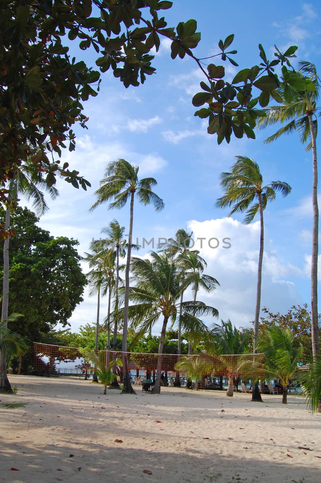 Outdoor beach sand volleyball court at Dos Palmas island resort  by imwaltersy