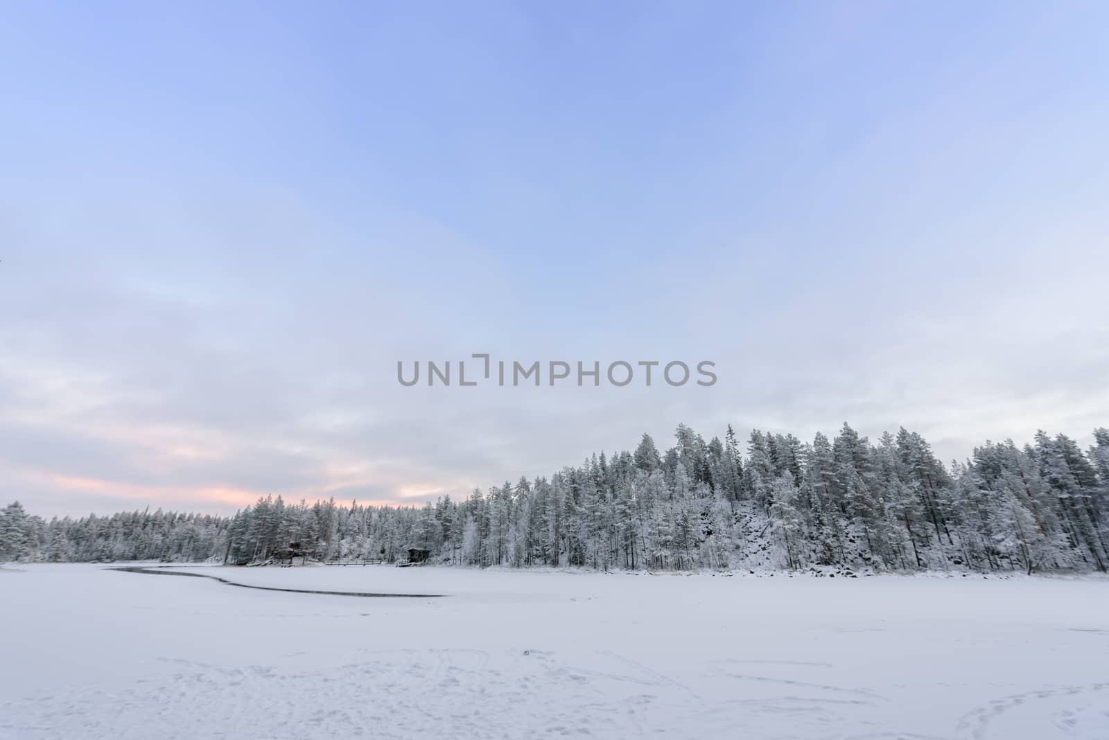 The forest has covered with heavy snow and bad weather sky in winter season at Oulanka National Park, Finland.