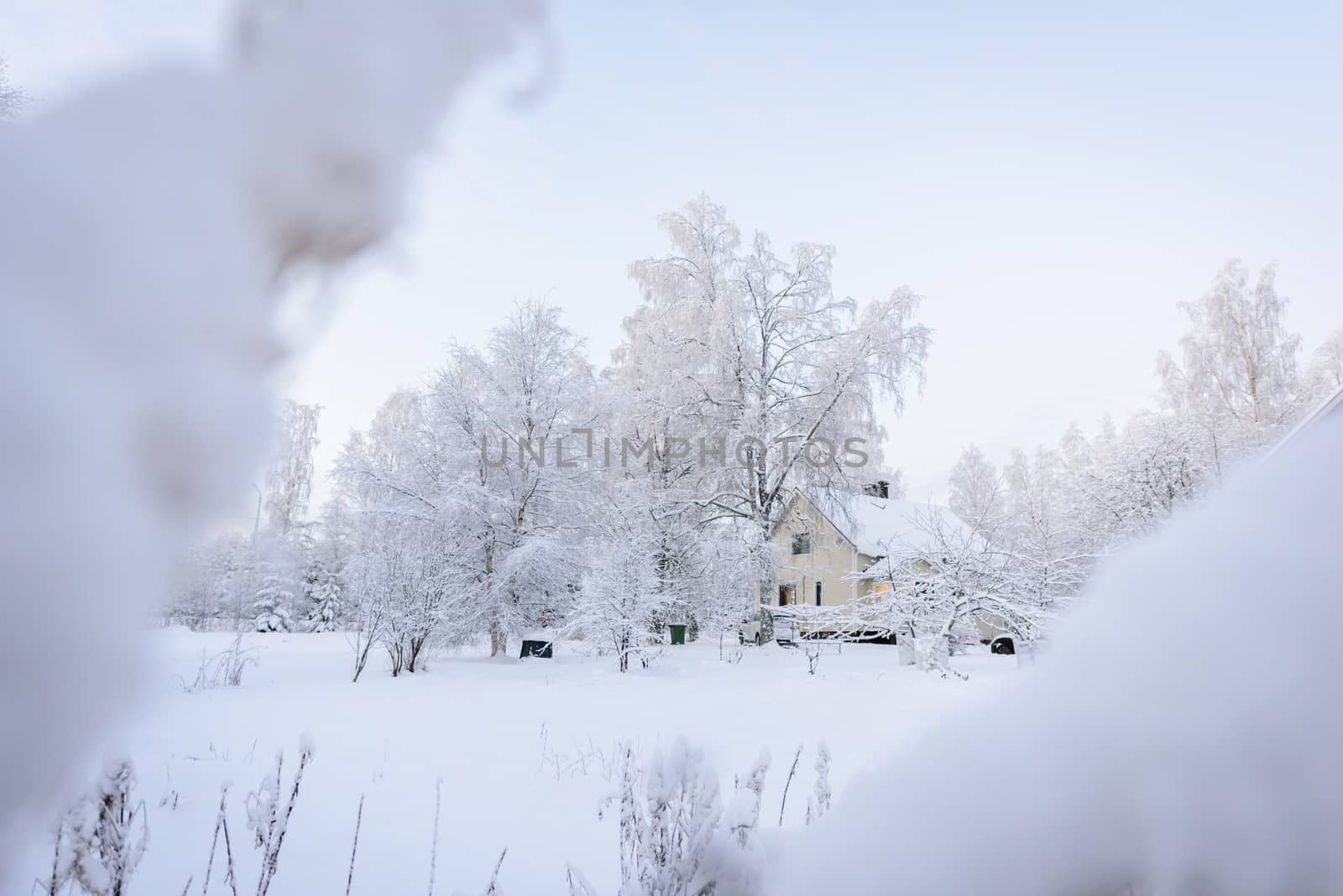 The house in the forest has covered with heavy snow in winter se by animagesdesign