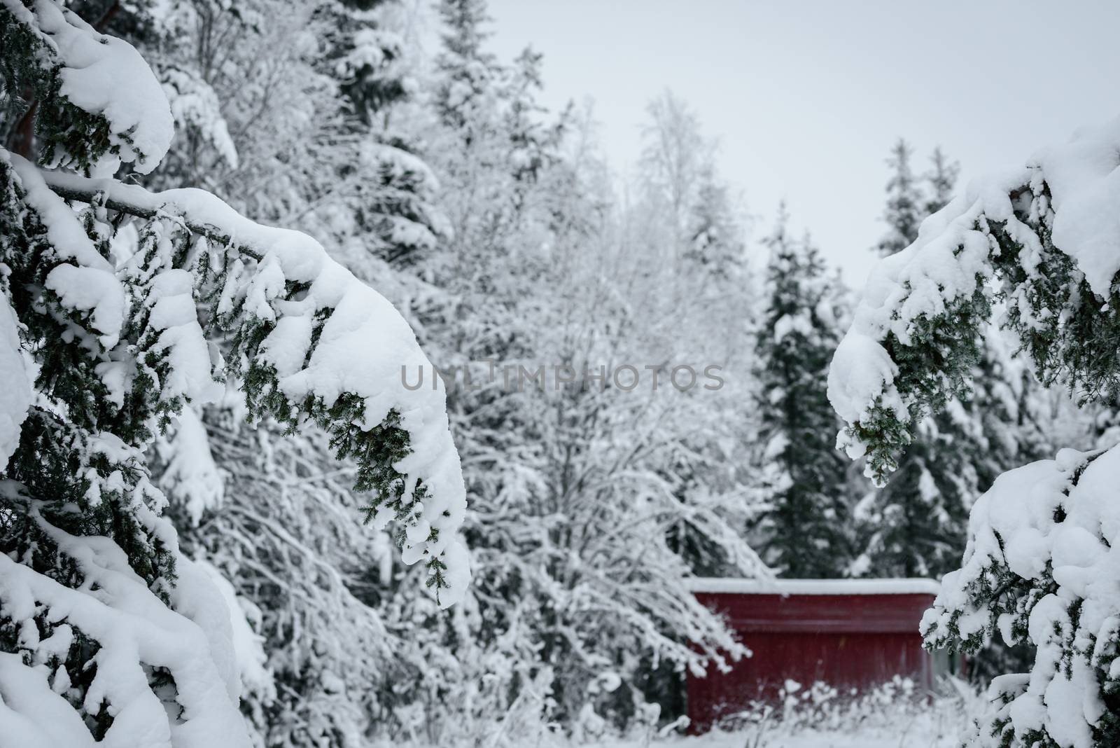 The branch of tree has covered with heavy snow in winter season  by animagesdesign