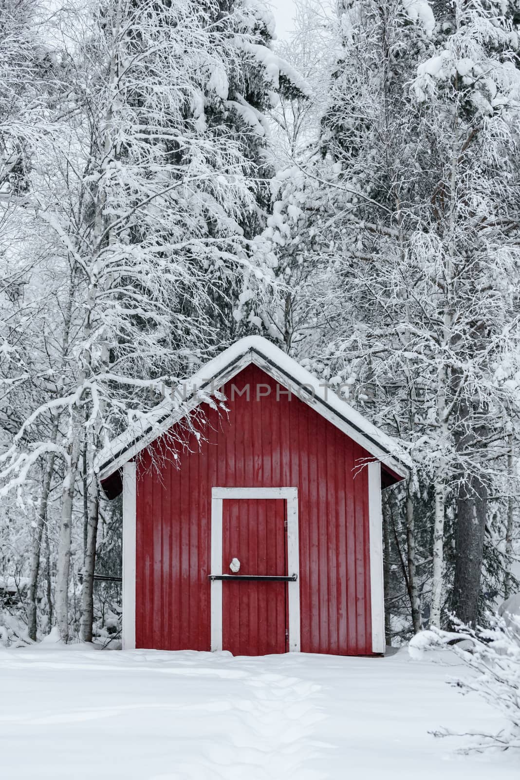The house in the forest has covered with heavy snow and bad sky  by animagesdesign