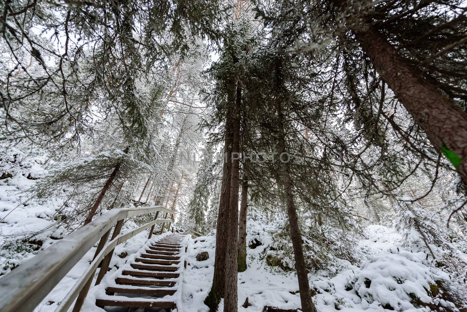 The walk way has covered with heavy snow and bad weather sky in winter season at Oulanka National Park, Finland.