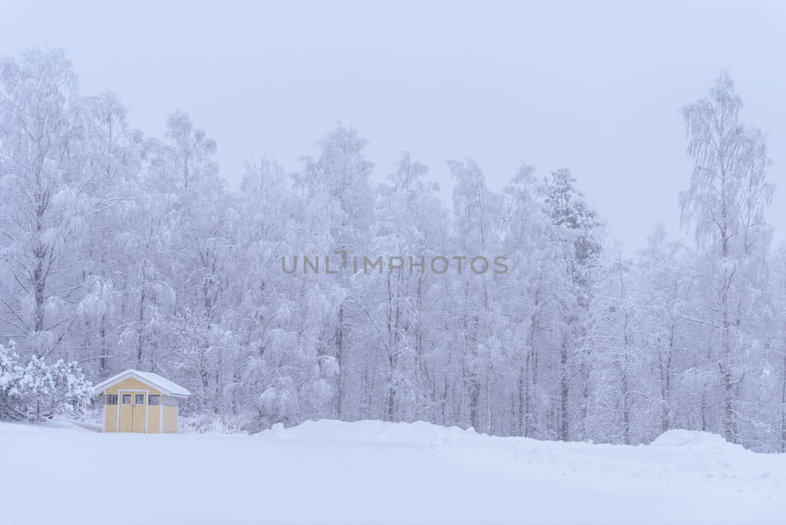 The yellow house in the forest has covered with heavy snow and b by animagesdesign