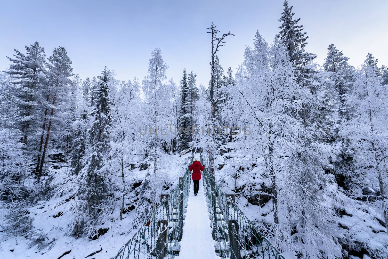 Tourist has walking alone in the forest with heavy snow covered and bad weather sky in winter season at Oulanka National Park, Finland.