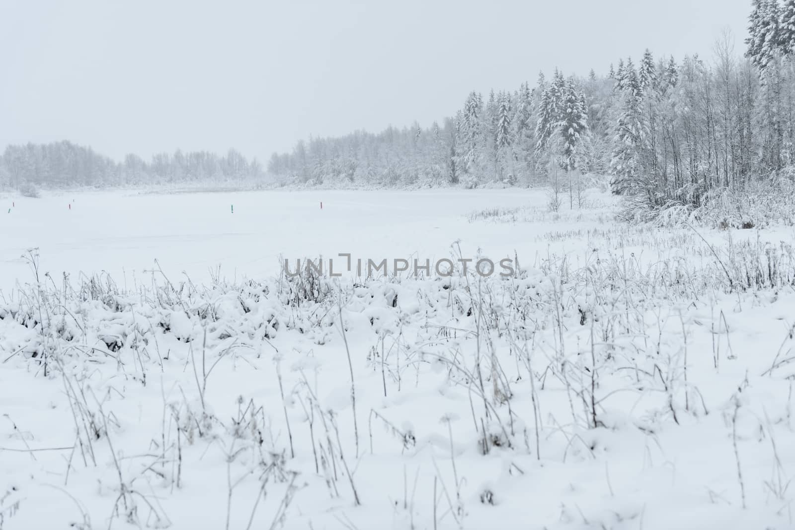 The ice lake and forest has covered with heavy snow and bad weather sky in winter season at Holiday Village Kuukiuru, Finland.