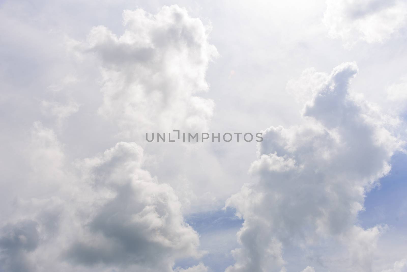 The nature of blue sky with cloud in the morning.