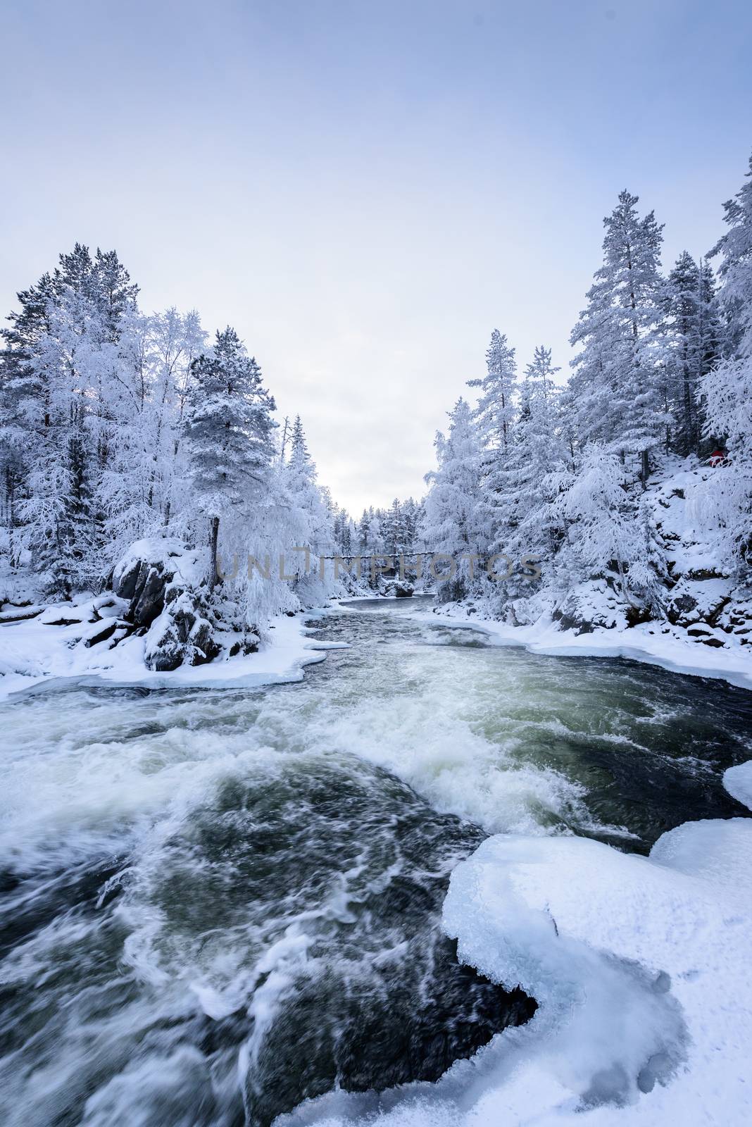The river in winter season at Oulanka National Park, Finland. by animagesdesign