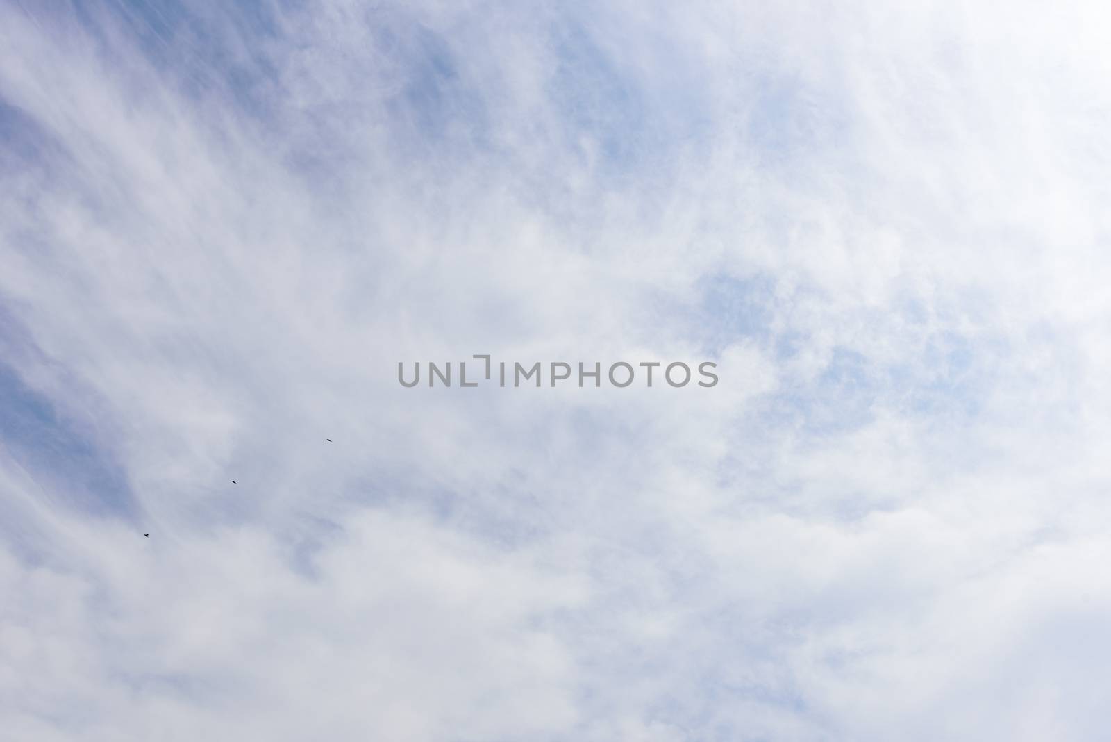 The nature of blue sky with cloud in the morning.