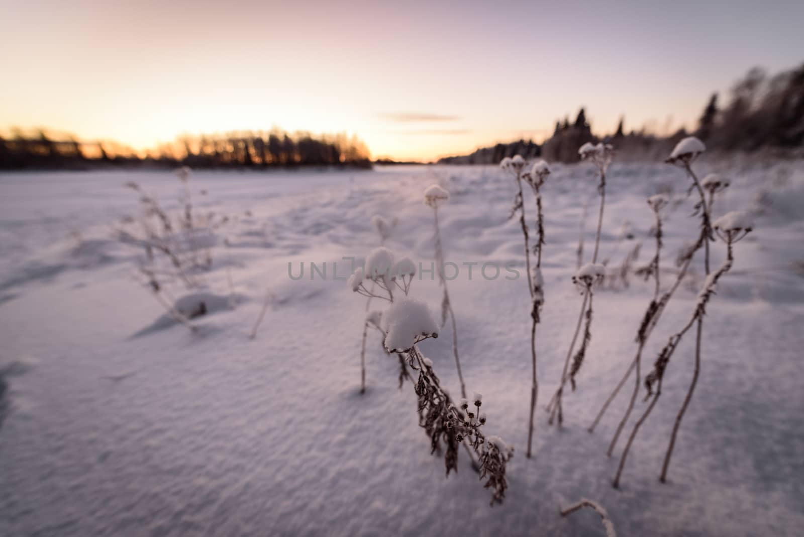 The ice lake and forest has covered with heavy snow and nice blue sky in winter season at Holiday Village Kuukiuru, Finland.