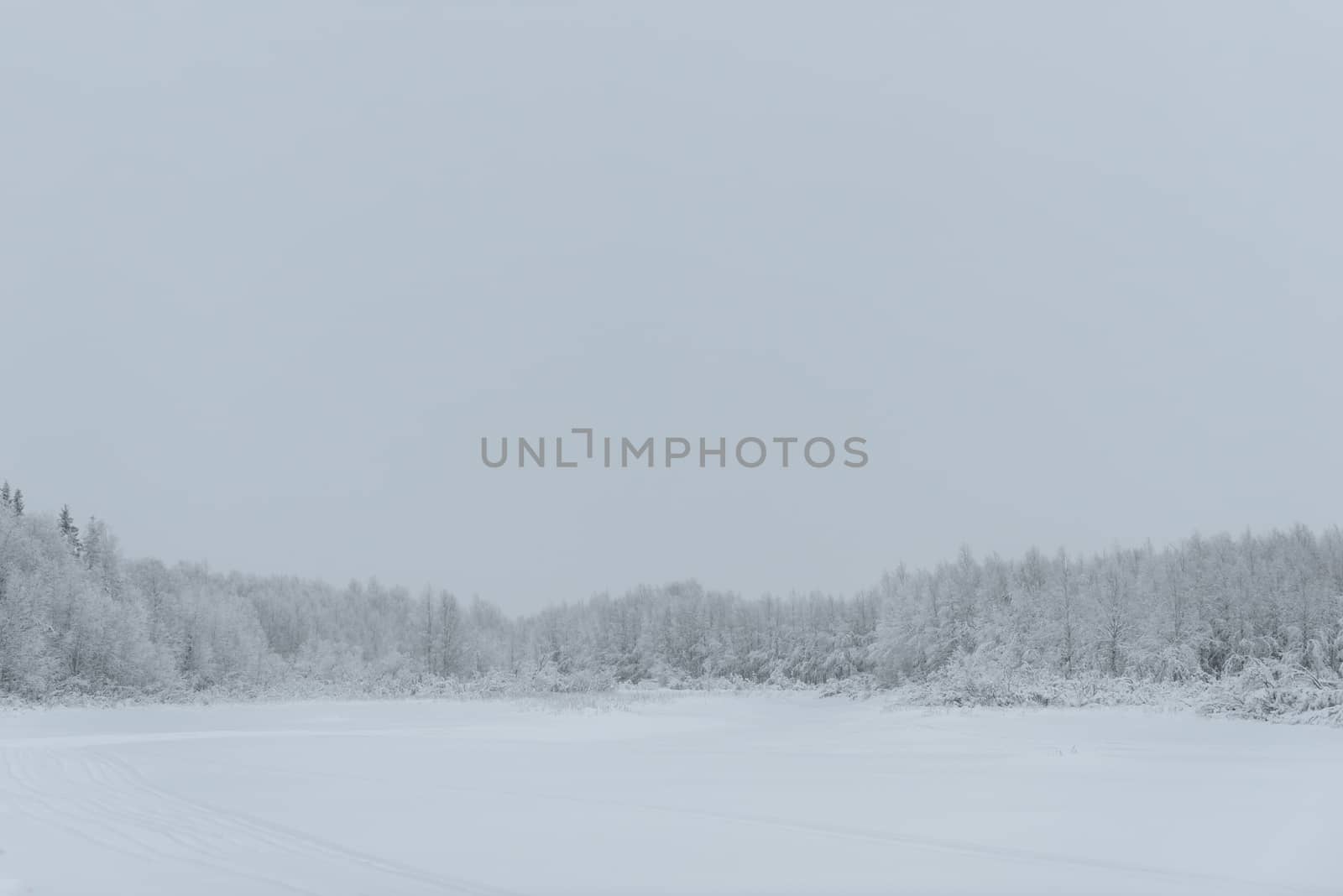 The ice lake and forest has covered with heavy snow and bad weather sky in winter season at Holiday Village Kuukiuru, Finland.