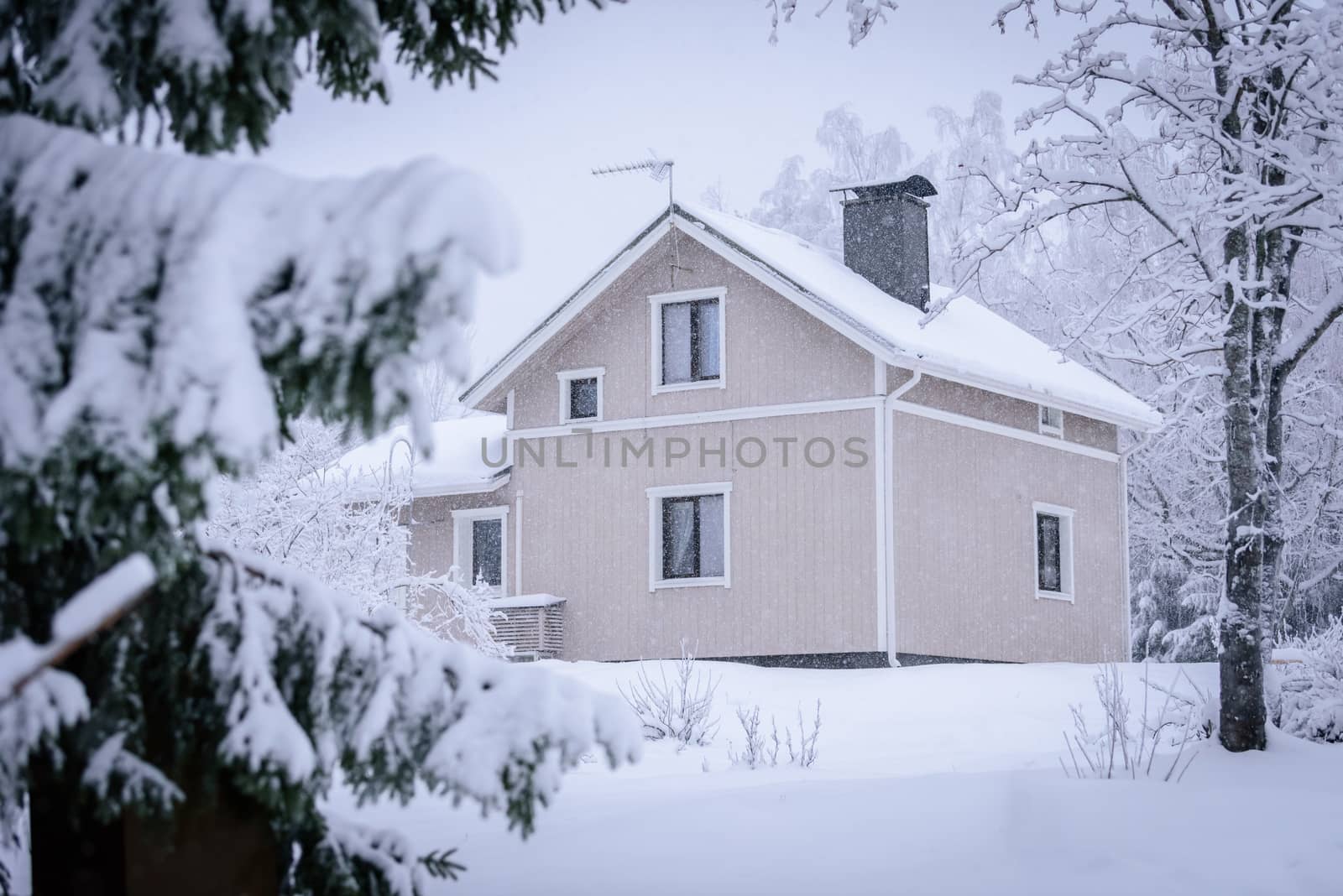 The house in the forest has covered with heavy snow and bad sky in winter season at Tuupovaara, Finland.
