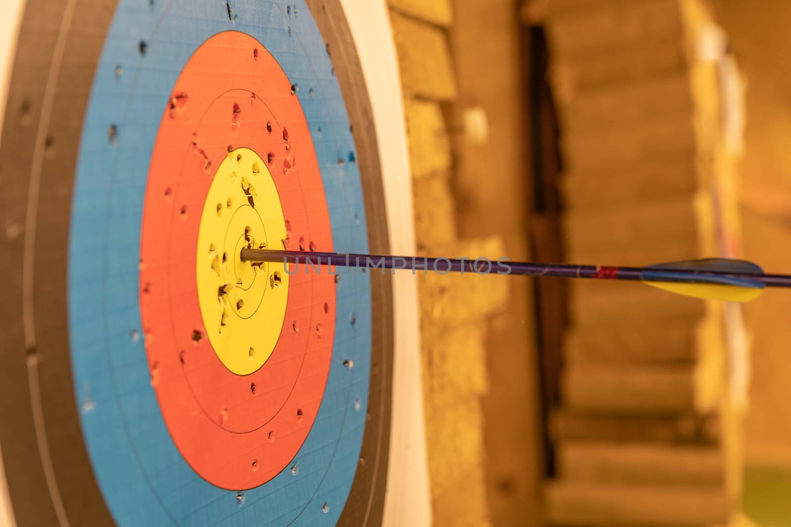 archery in the sports hall. Competition for the best shot an arrow into targets. tournament