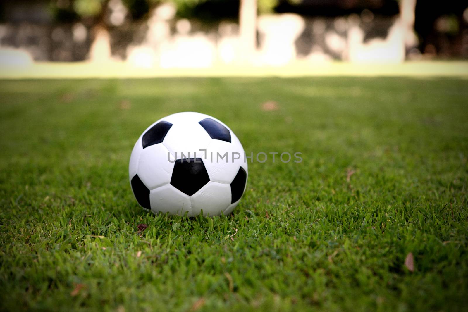 Soccer ball on grass by piyato