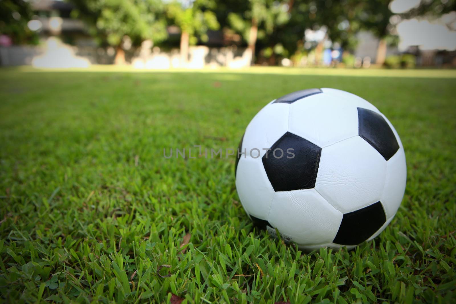 Football on grass by piyato