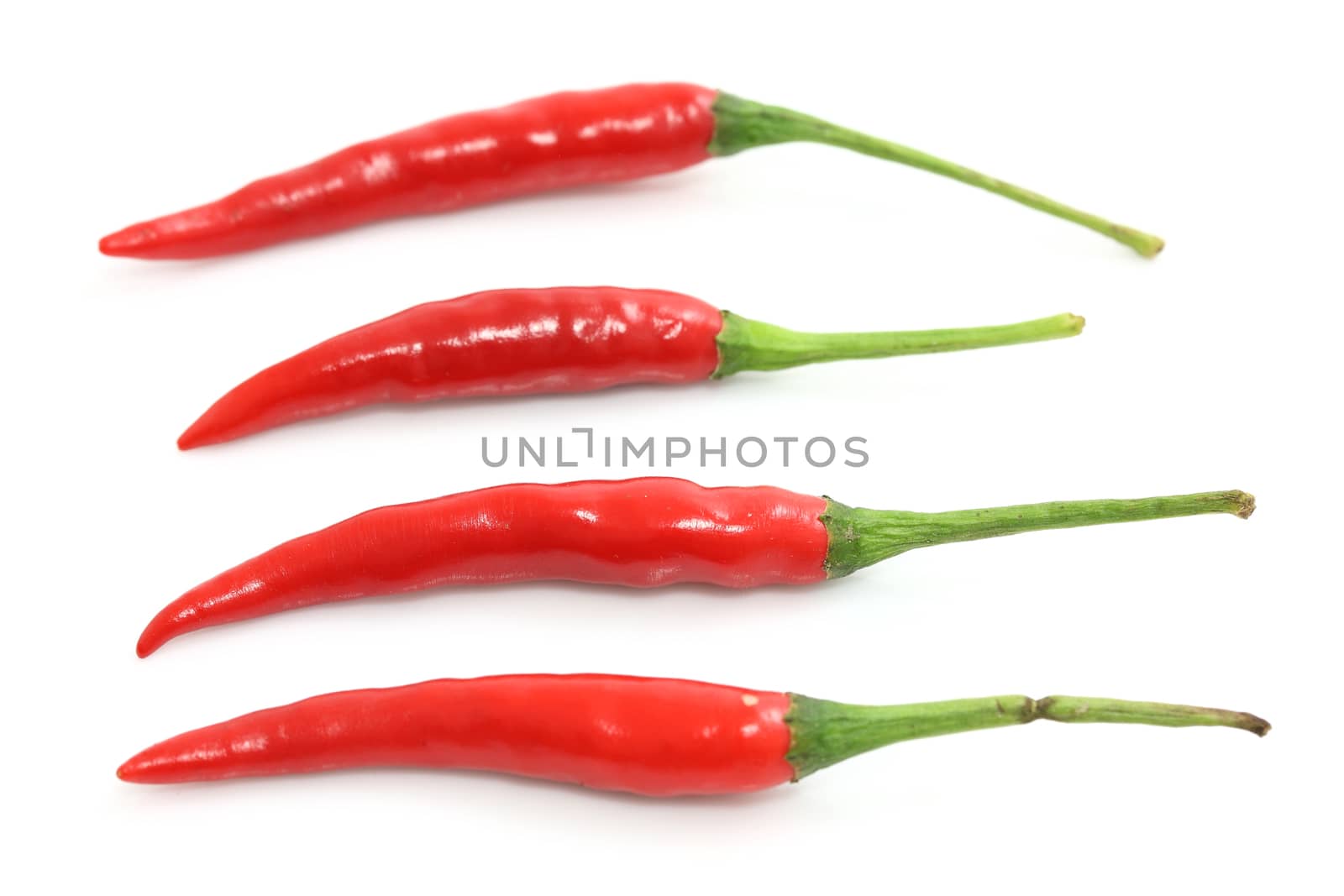 Red hot chili pepper isolated on a white background  by piyato
