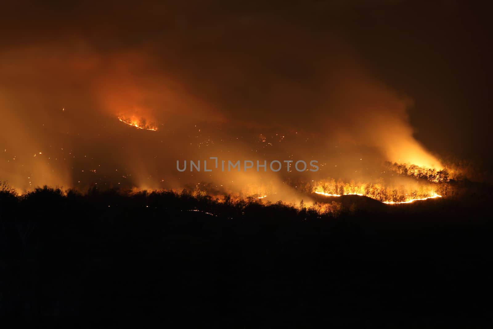 Bushfire Wildfire at night by piyato