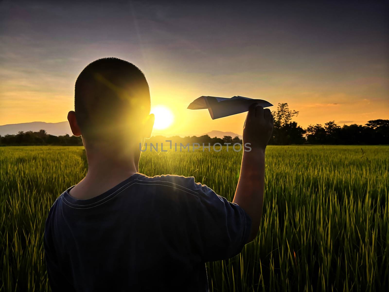 The boy is carrying a paper plane that is ready to throw into the rice fields at sunset.