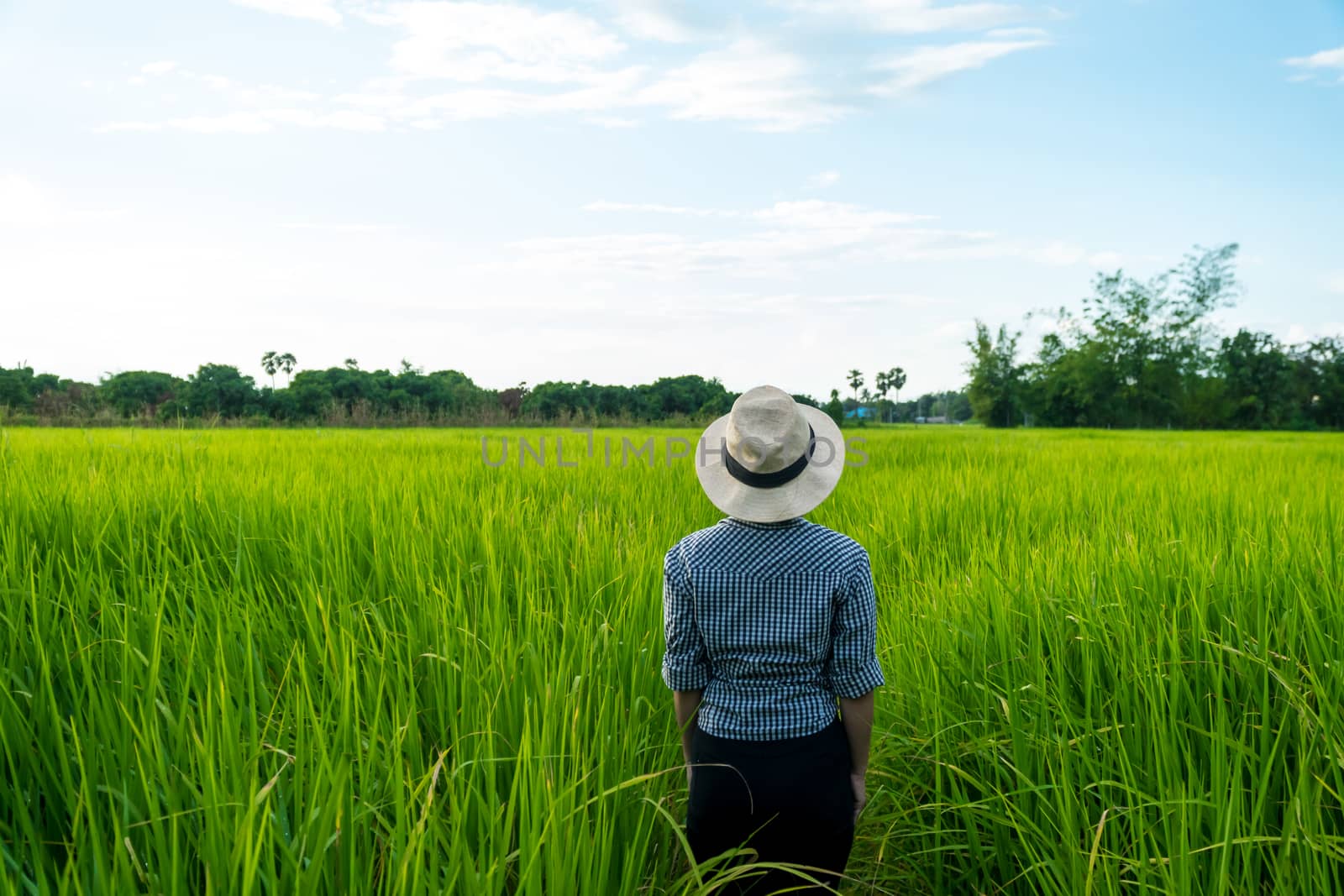 farmer woman standing in a rice field by somesense