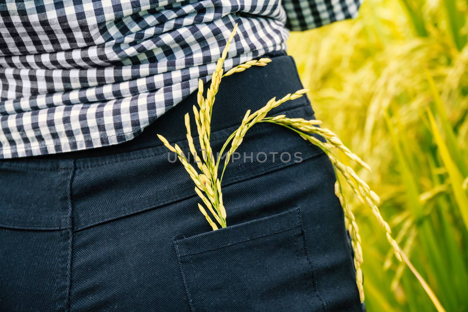 rice products in pockets by somesense