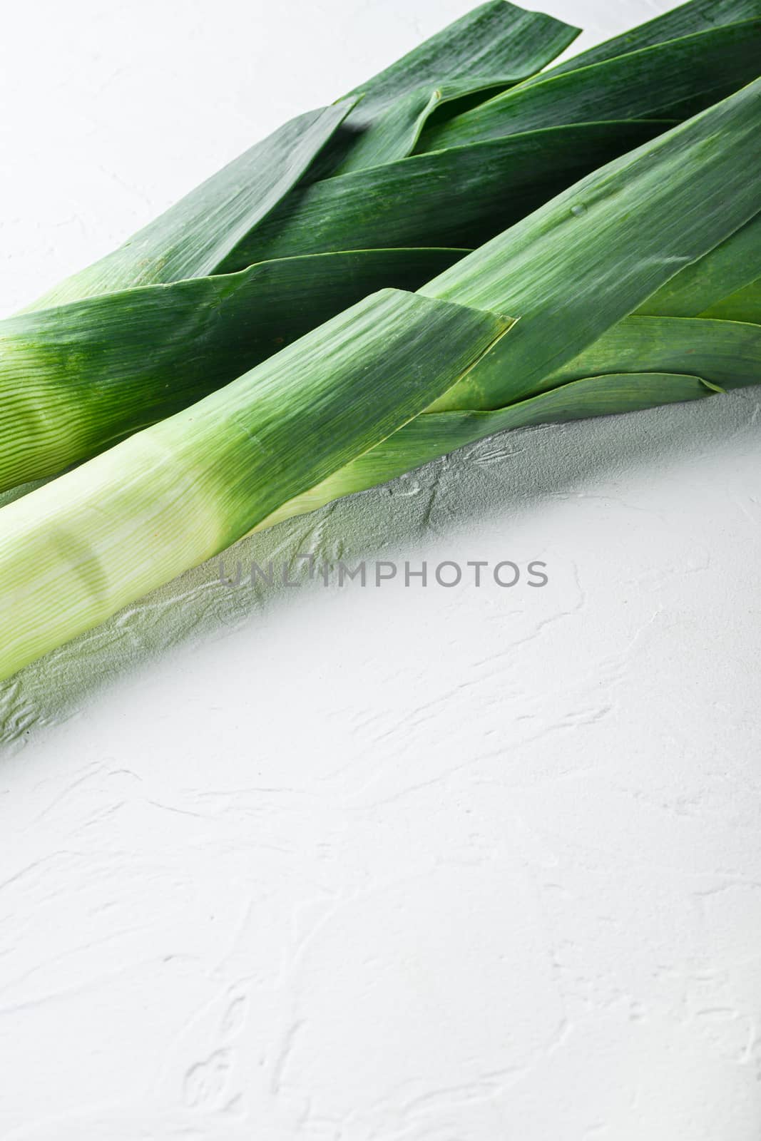 Organic Leek onion Stalks on white background, side view, selective focus space for text