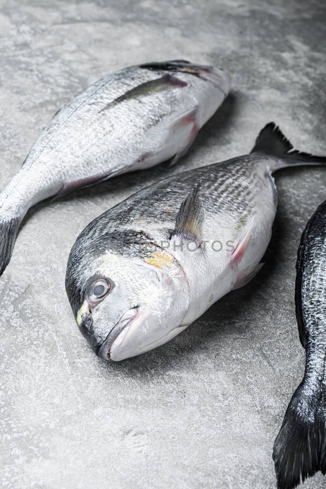 Whole dorado Sea bream fish with herbs for grill over textured grey background side view space for text