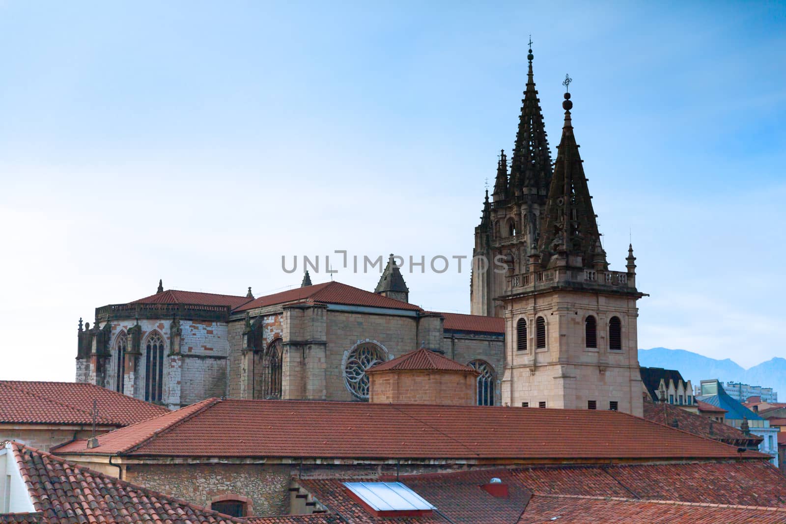Cathedral of San Salvador, Oviedo, Spain by vlad-m
