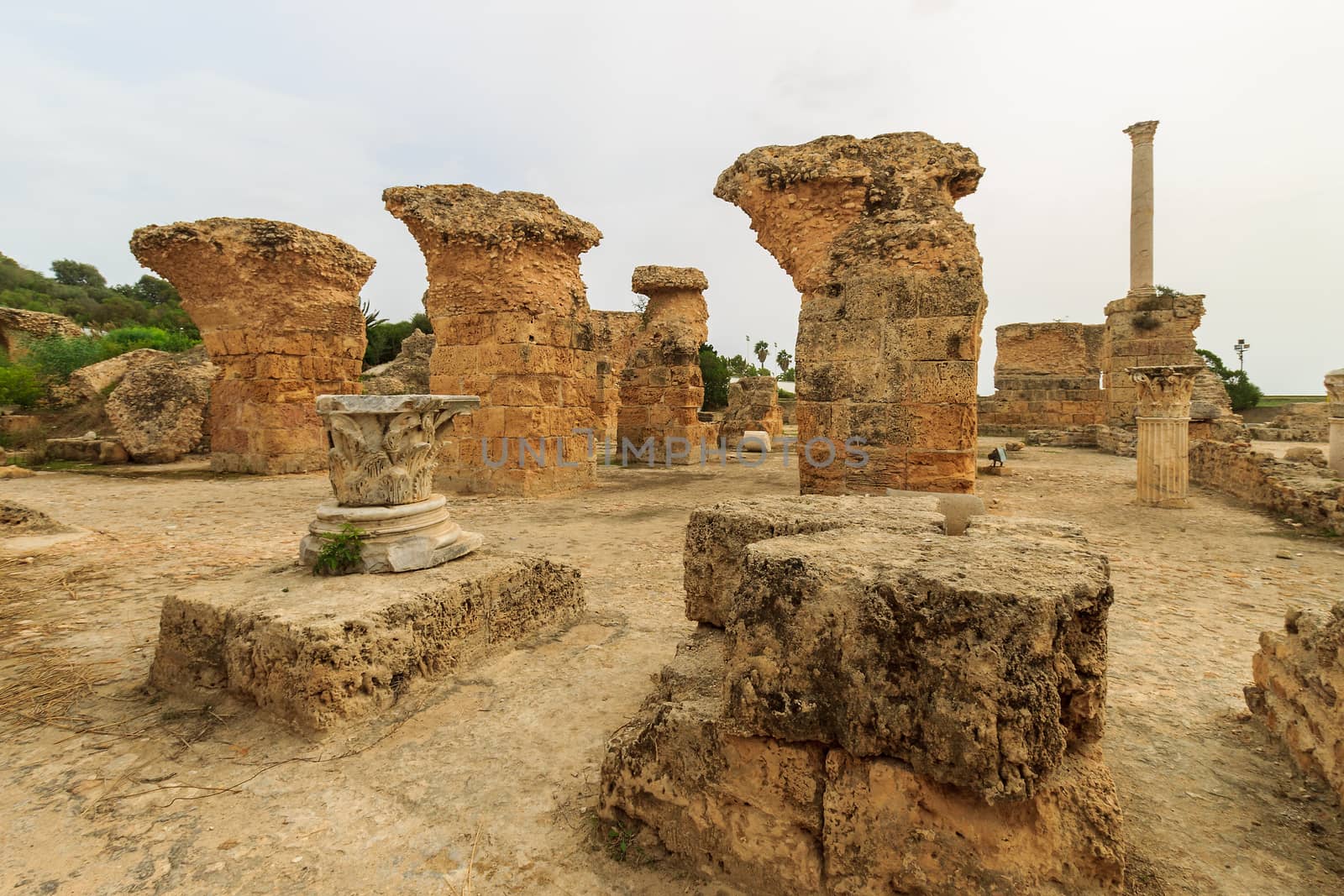 Ancient ruins of baths at tunisia, Carthage. Anthony terms.