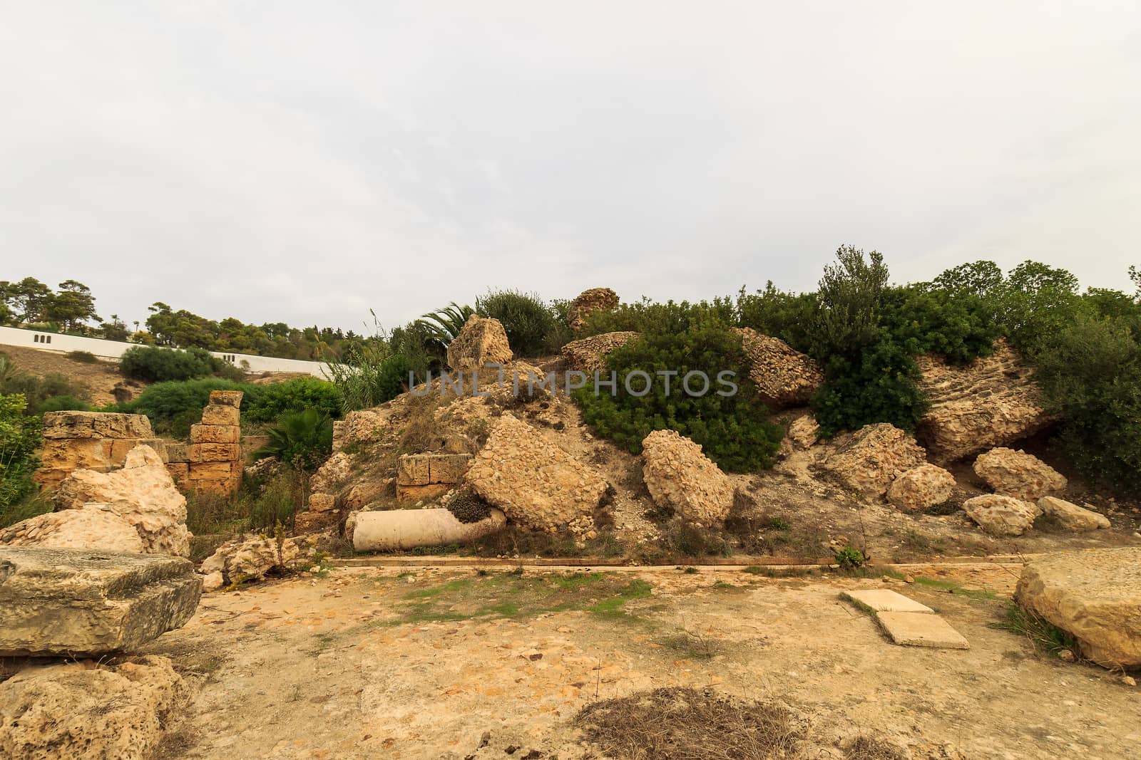 Ancient ruins of baths at tunisia, Carthage. Anthony terms.