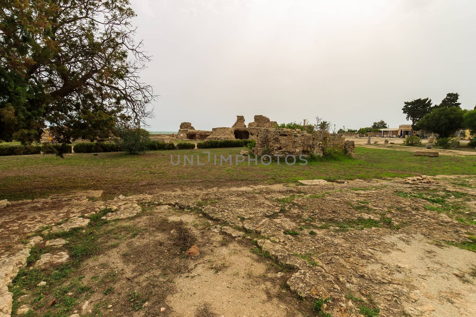 Ancient ruins of baths at tunisia, Carthage. Anthony terms.