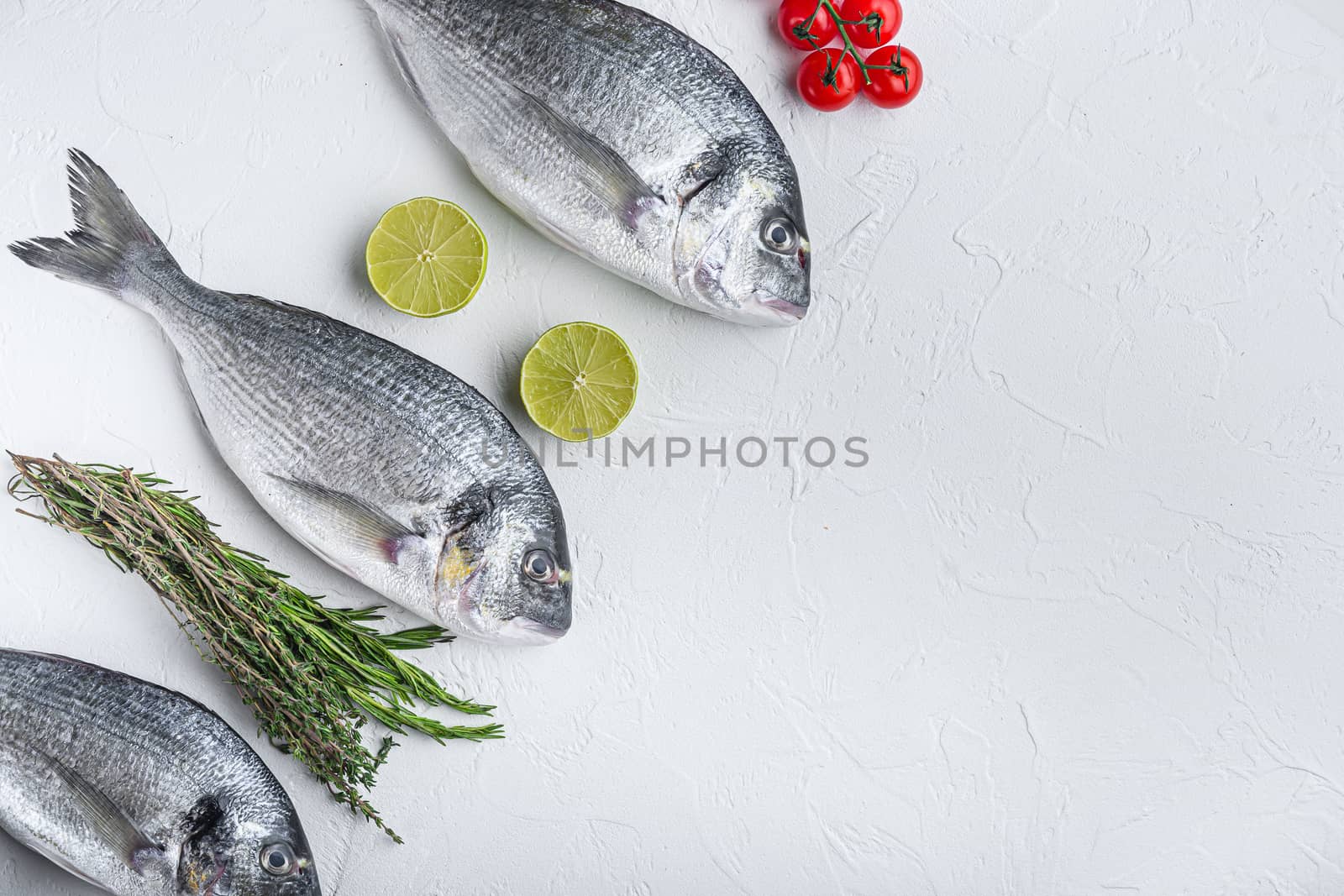 Raw set of sea bream or Gilt head bream dorada fish with herbs pepper lime tomato for cooking and grill on white background, top view with space for text