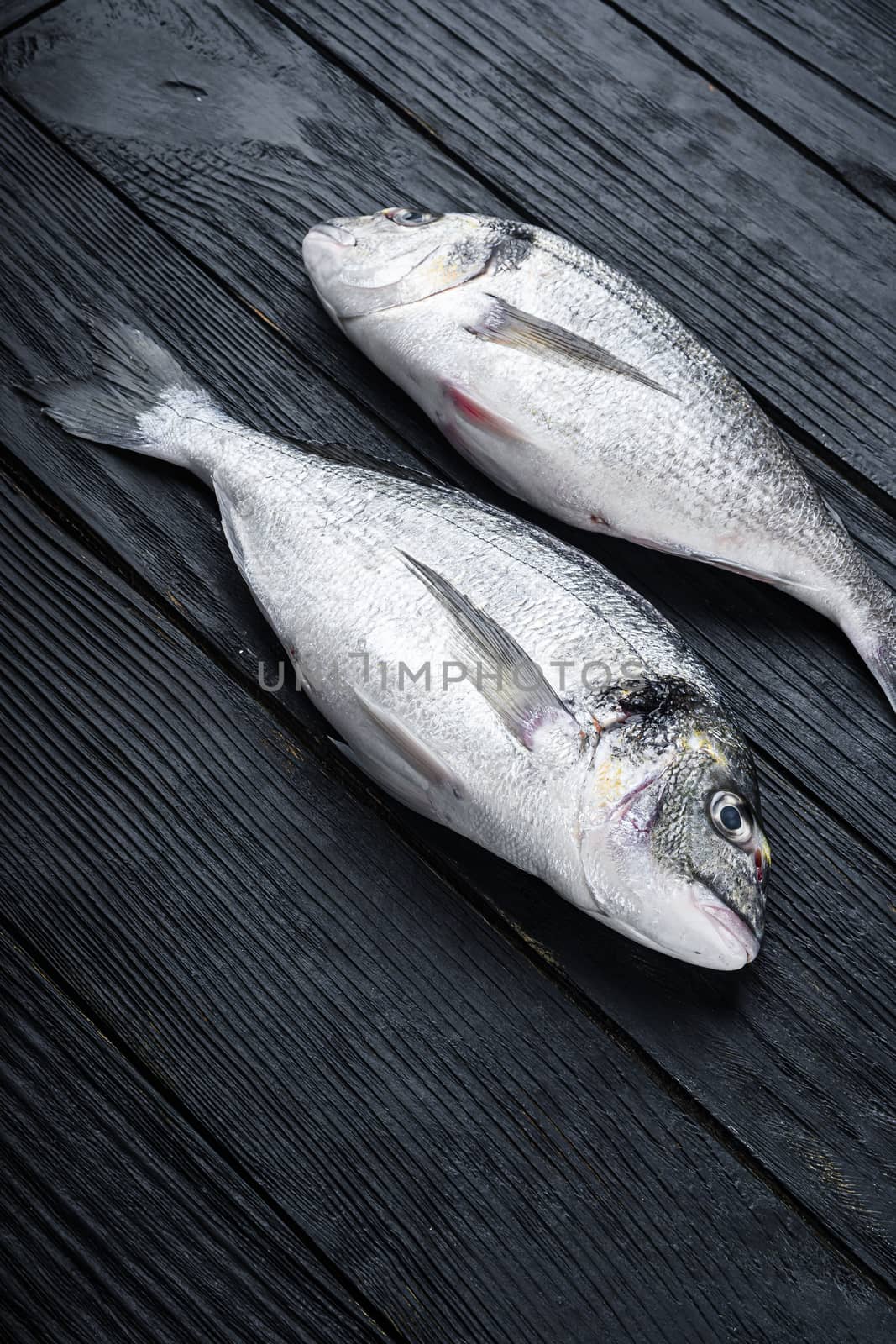 Raw whole pair dorado or sea bream fish ob black wooden table side view