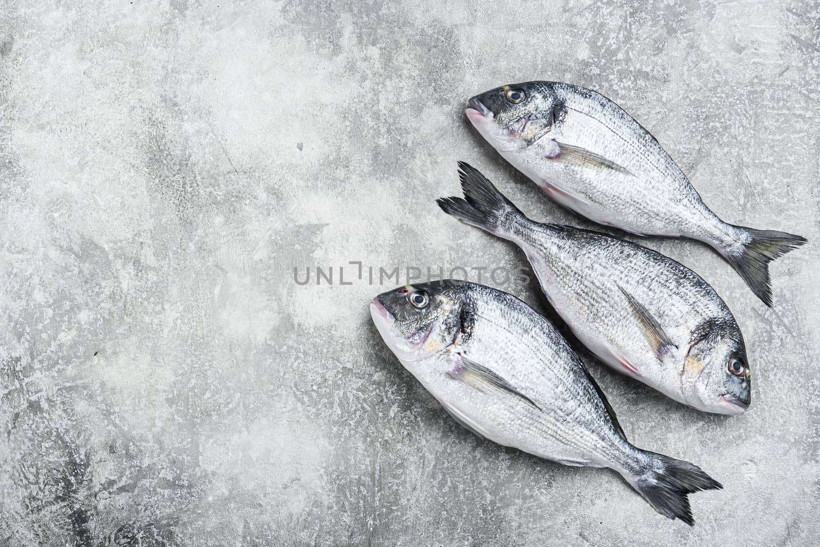 Whole dorado Sea bream fish with herbs for grill over textured grey background top view space for text