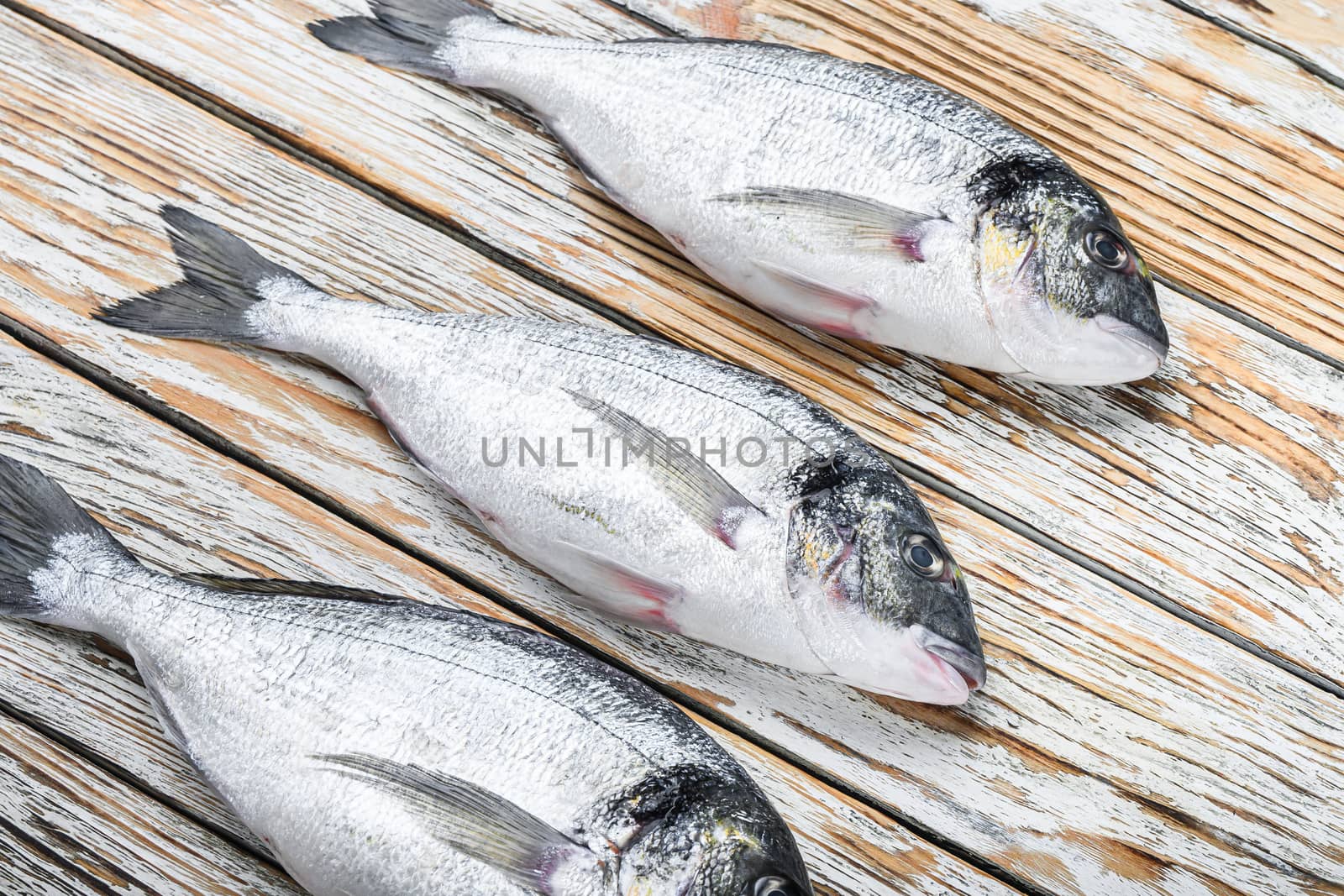 Set of raw dorado Sea bream fish over white wood table side view