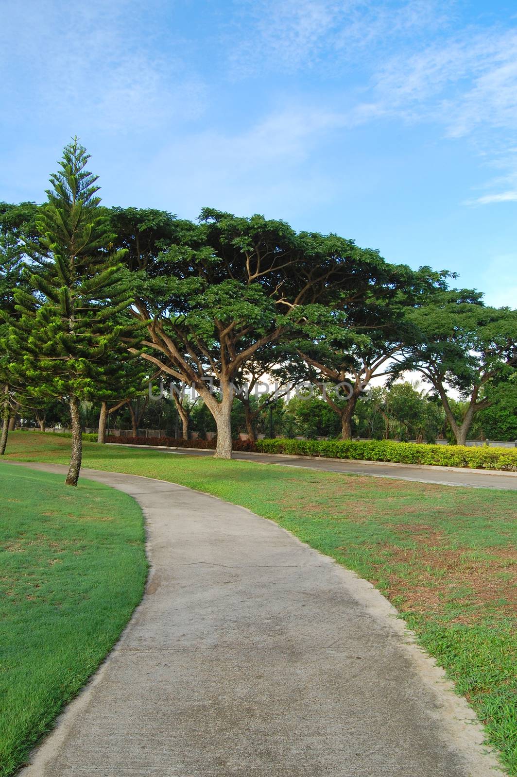 Golf course pathway at Mount Malarayat in Lipa, Batangas, Philip by imwaltersy