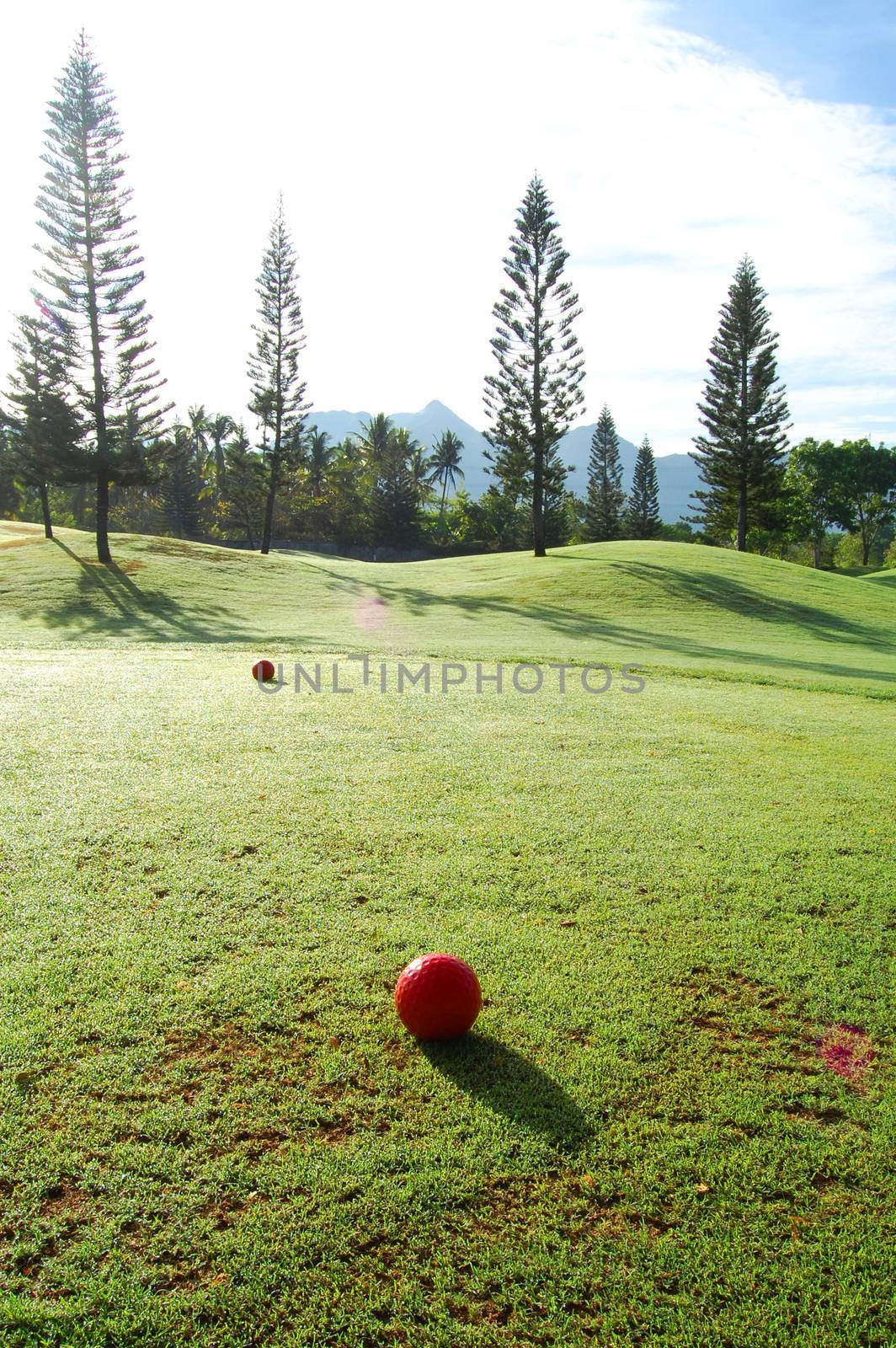 Red golf ball in the golf course with grass and trees in Batangas, Philippines