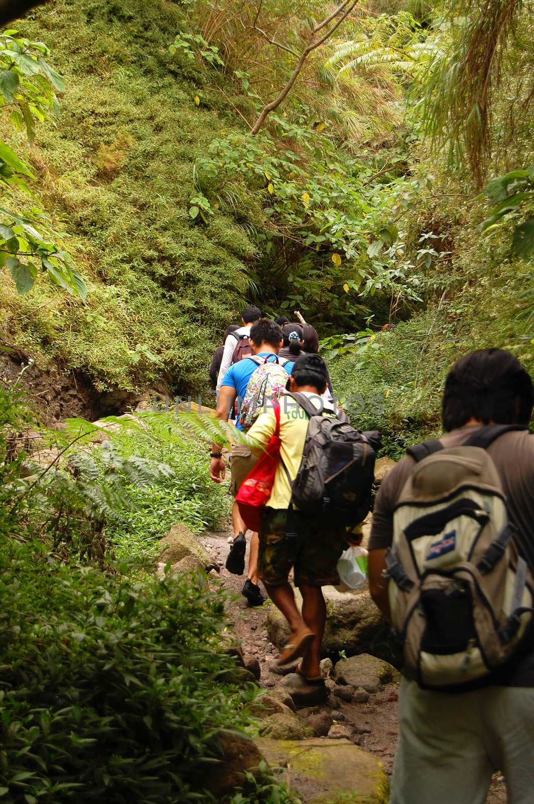 Forest trail leading to Lake Pinatubo in Zambales, Philippines by imwaltersy