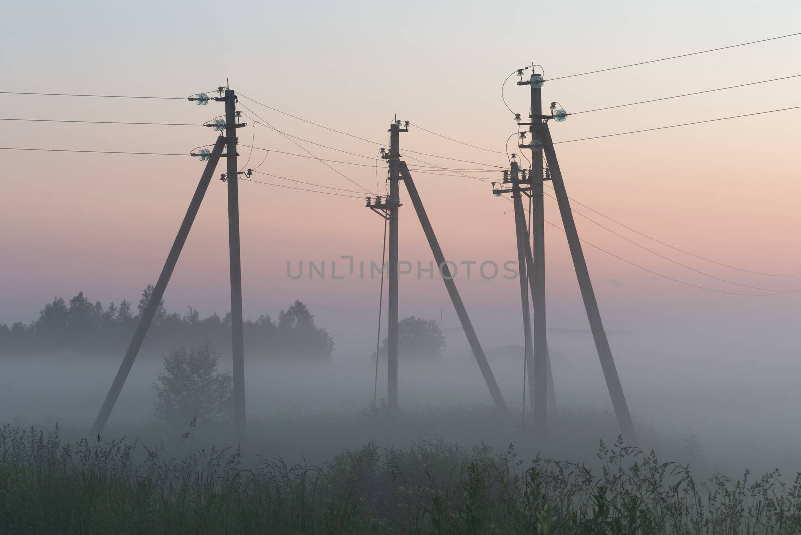 electric poles with wires in the fog in summer, beautiful nature around