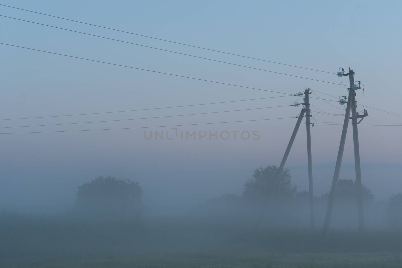 electric poles stand in a green field in summer