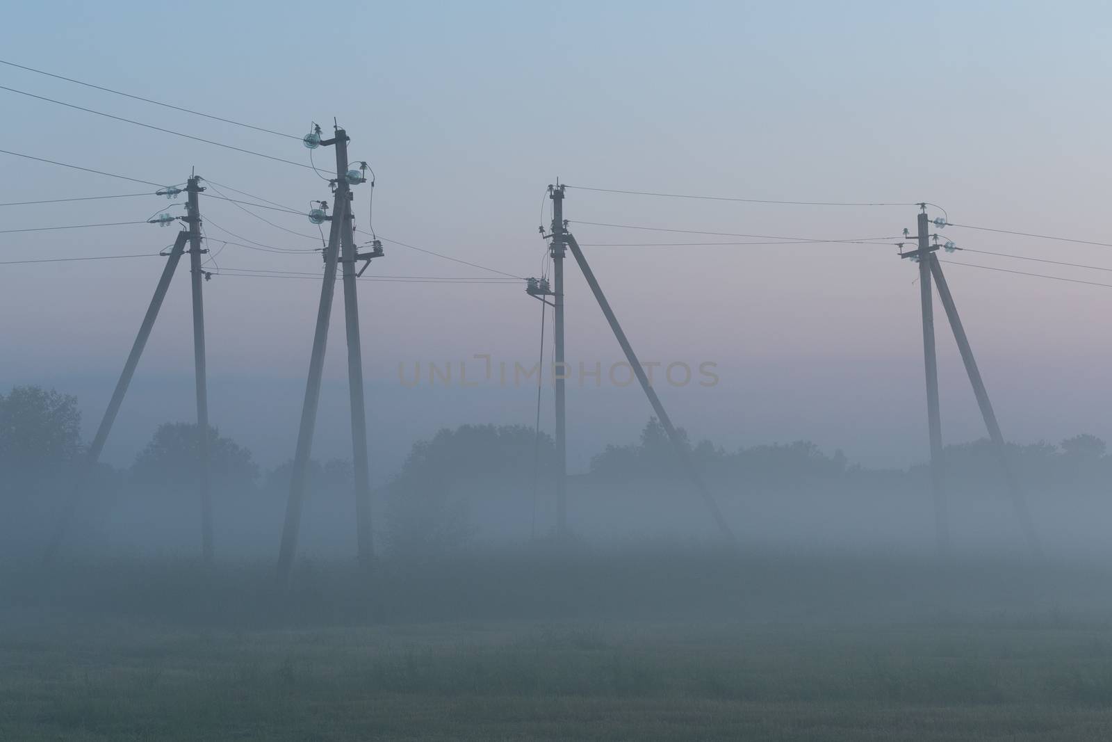 electric poles stand in a green field in summer