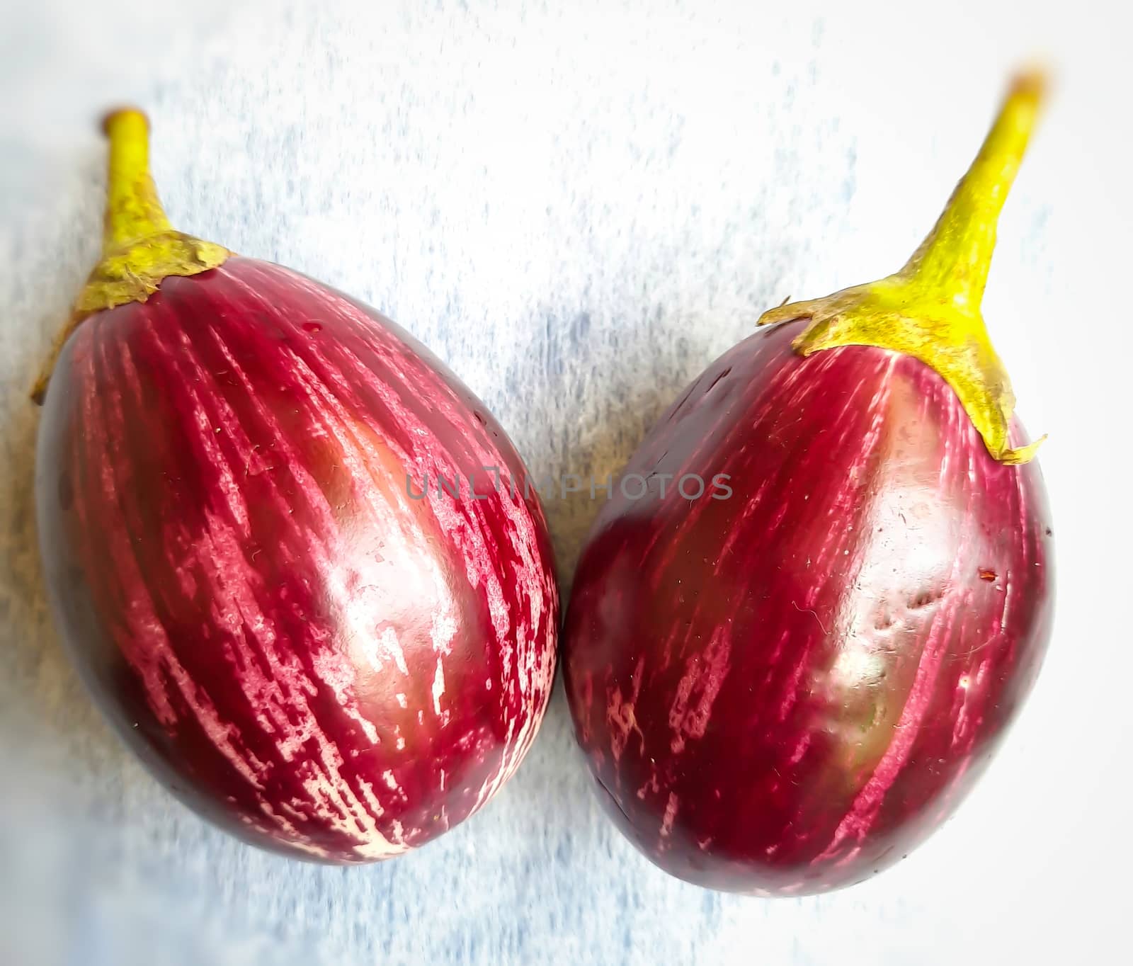 Two violet color big brinjal placed beautifully place in white paper added for indian daily vegetable foods