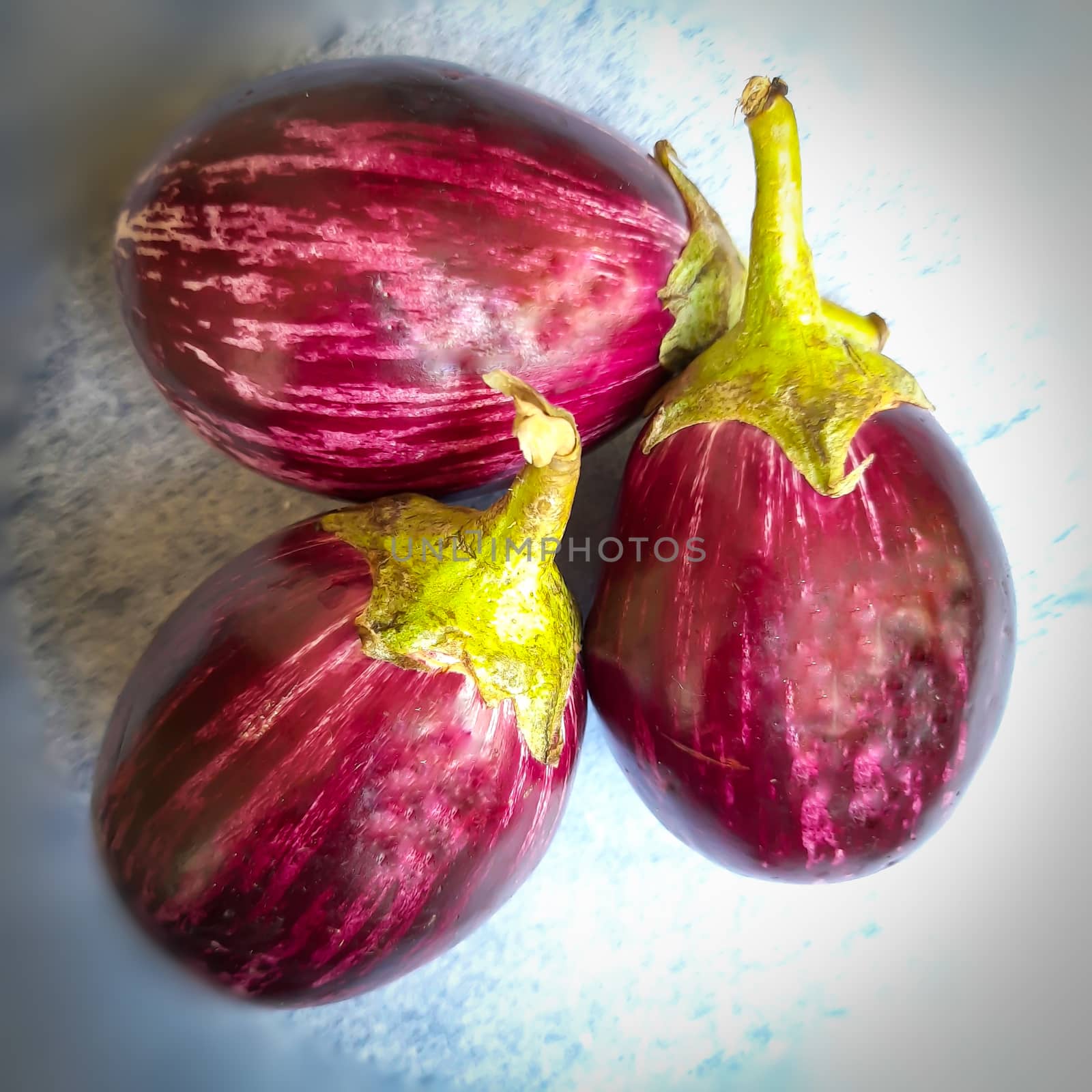 Three violet color big brinjal placed beautifully place in white paper added for indian daily vegetable foods