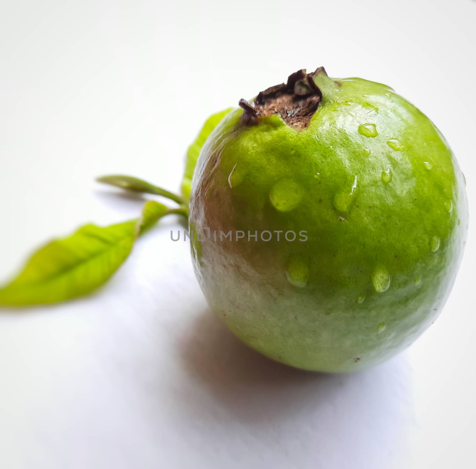 Green color guava with leaves arranged beautifully with white background and good for health and skin and Help Lower Blood Sugar Levels