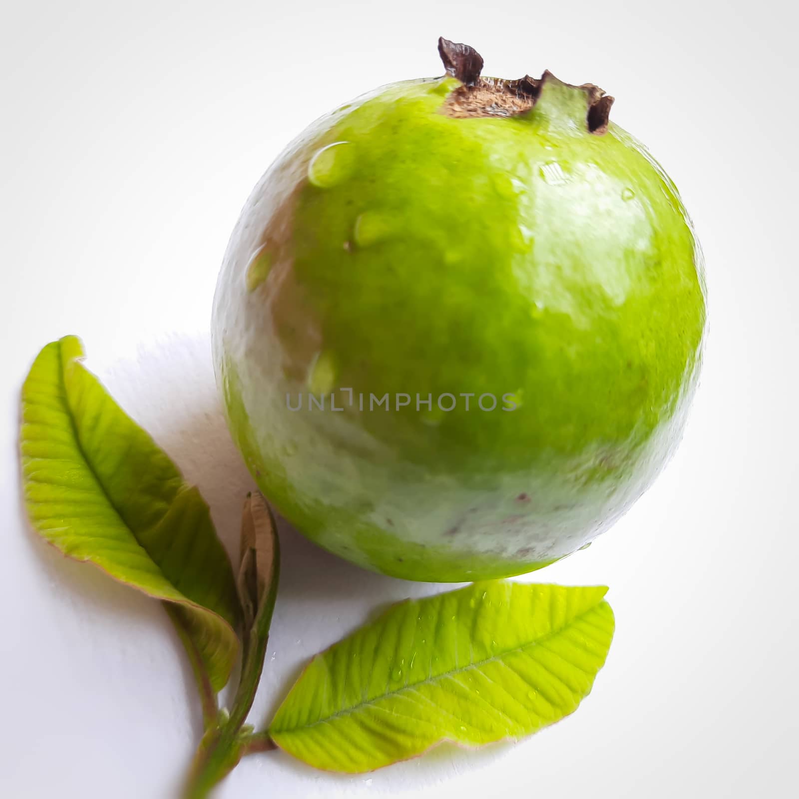 Green color guava with leaves arranged beautifully with white background and good for health and skin and Help Lower Blood Sugar Levels