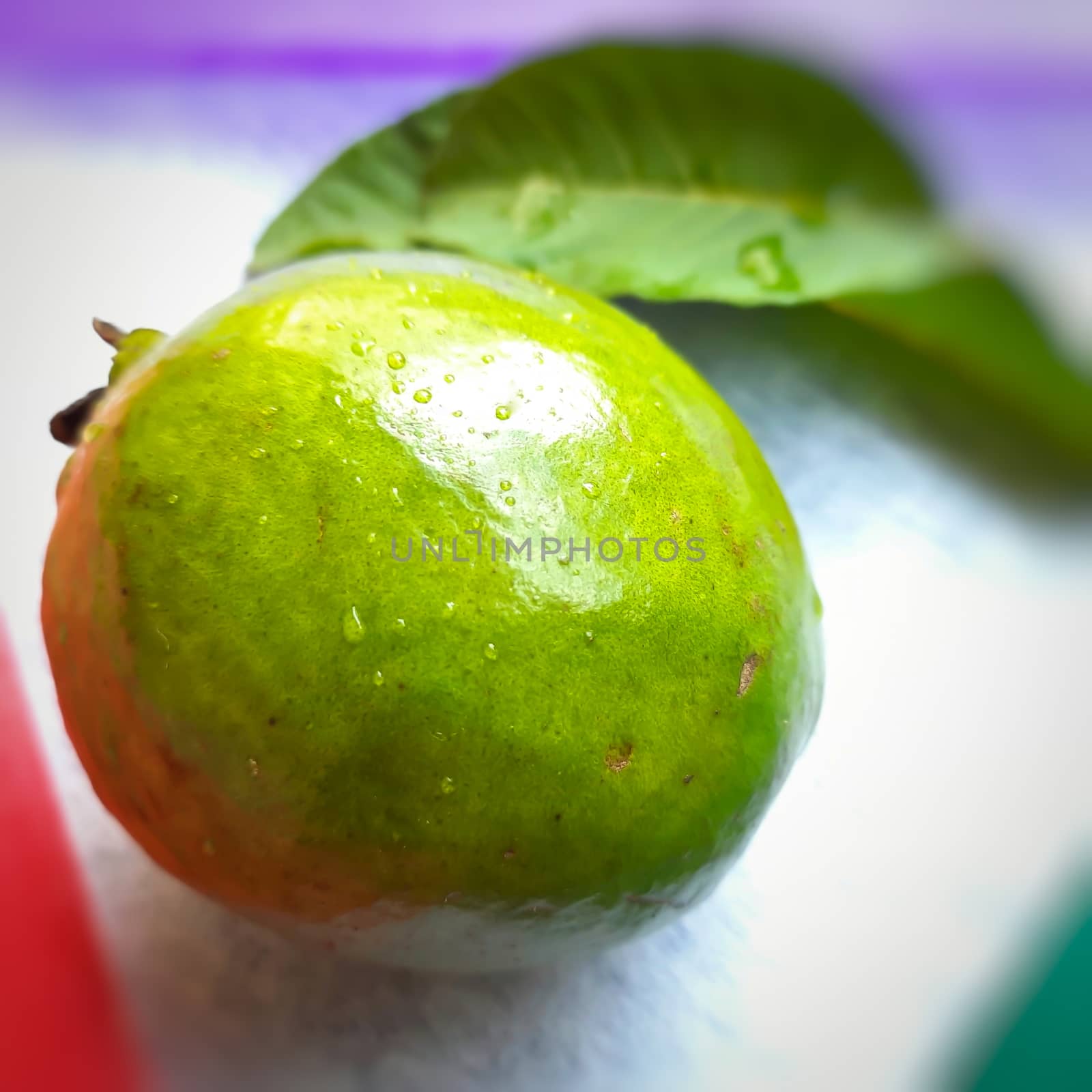 Green color guava with leaves arranged beautifully with color papers on background and good for health and skin and Help Lower Blood Sugar Levels