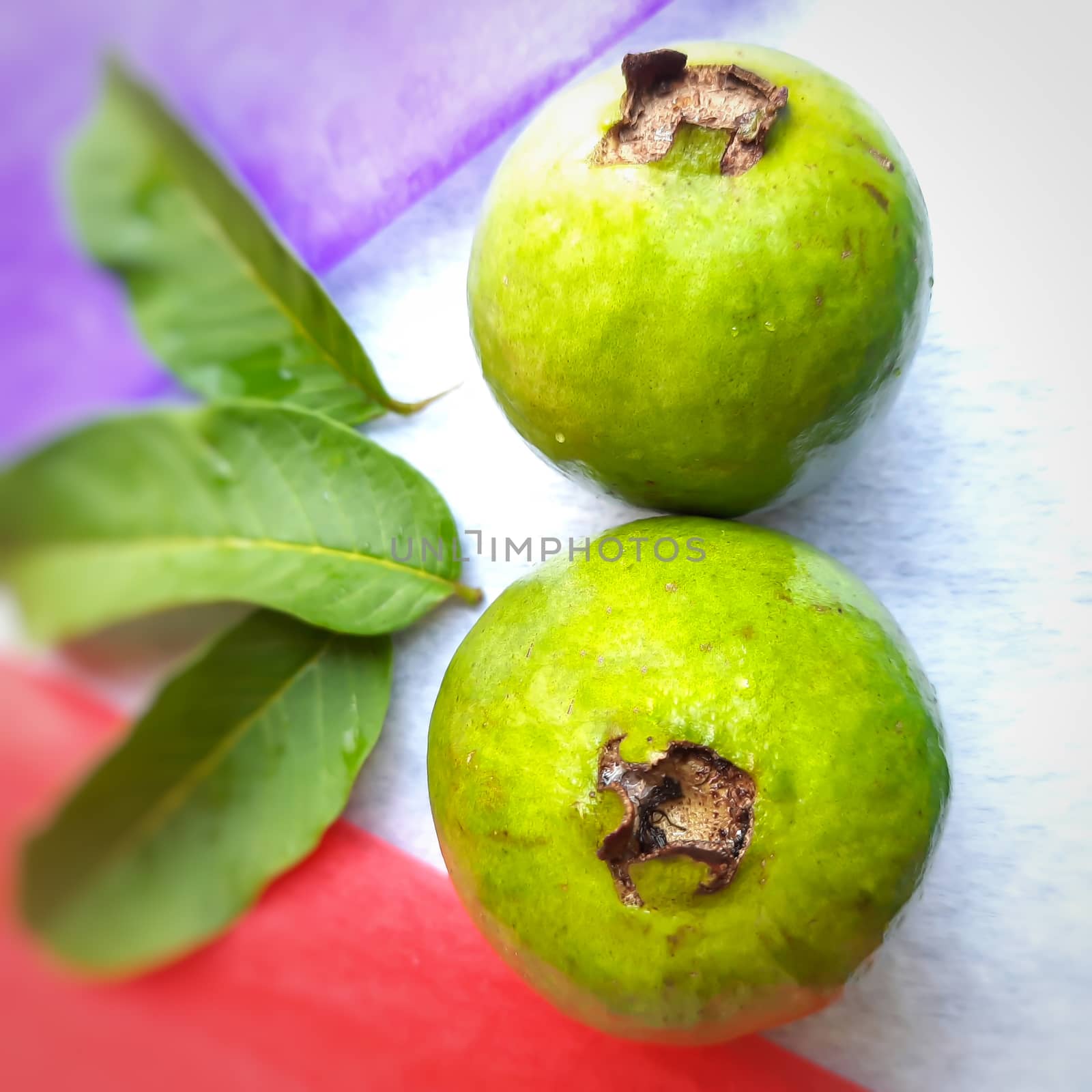 Green color guava with leaves arranged beautifully with color papers on background and good for health and skin and Help Lower Blood Sugar Levels