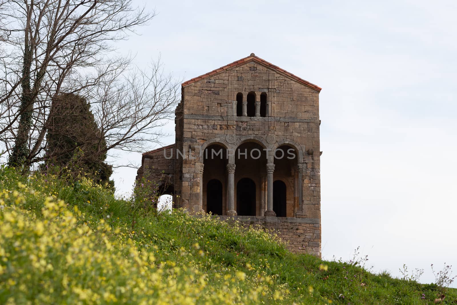 Church of St Mary at Mount Naranco, Oviedo, Spain by vlad-m