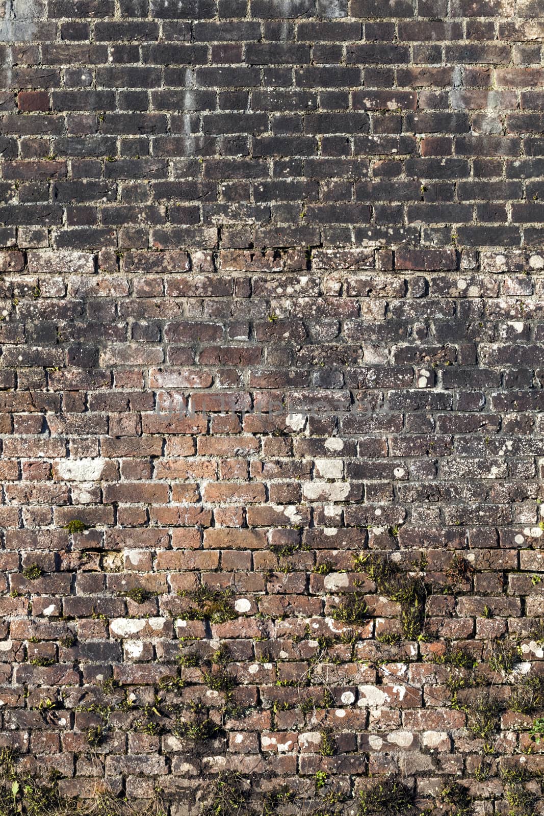 Old large weathered distressed red brick wall background by ant