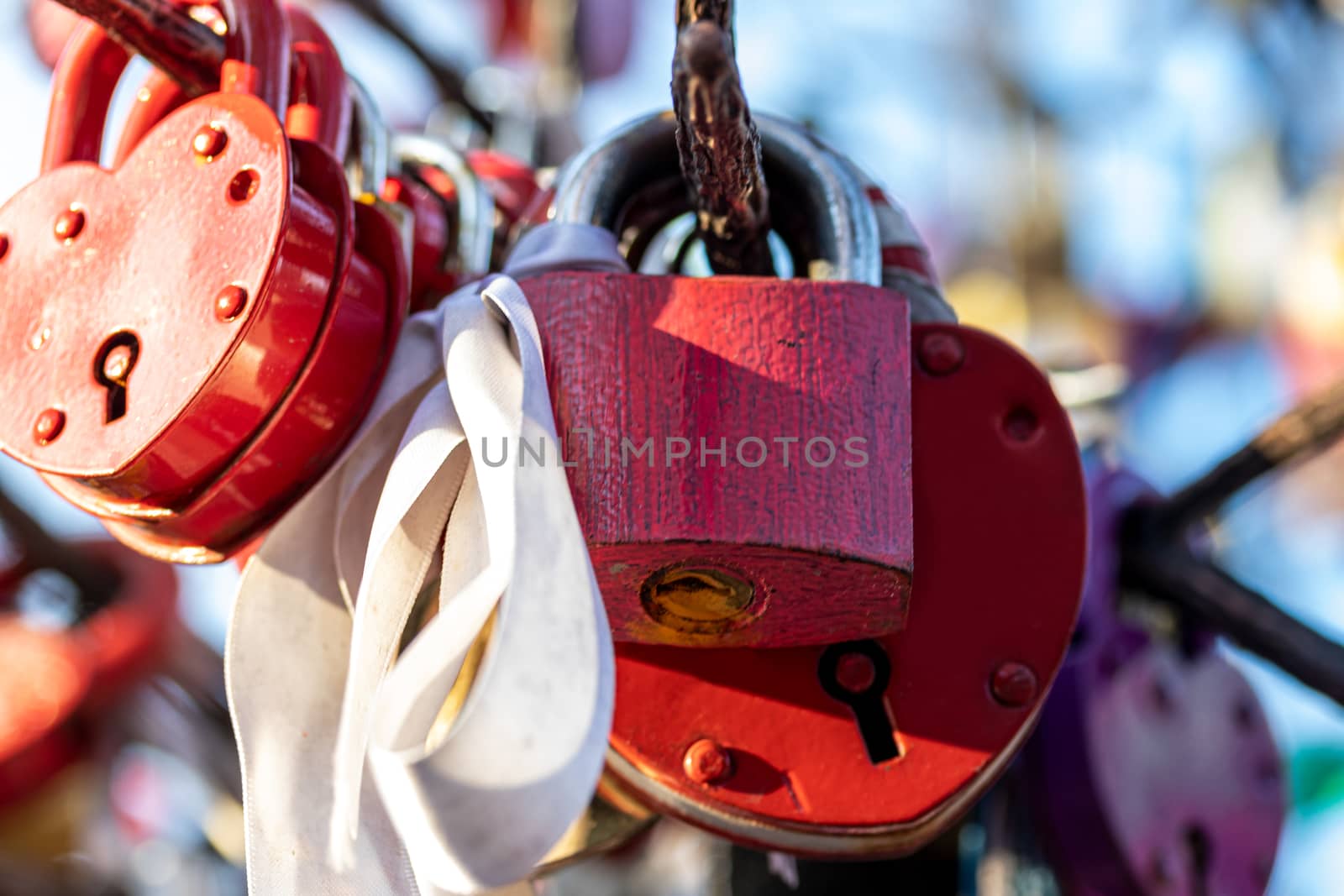 Many wedding colorful locks on a wedding tree. Symbol of love, marriage and happiness.