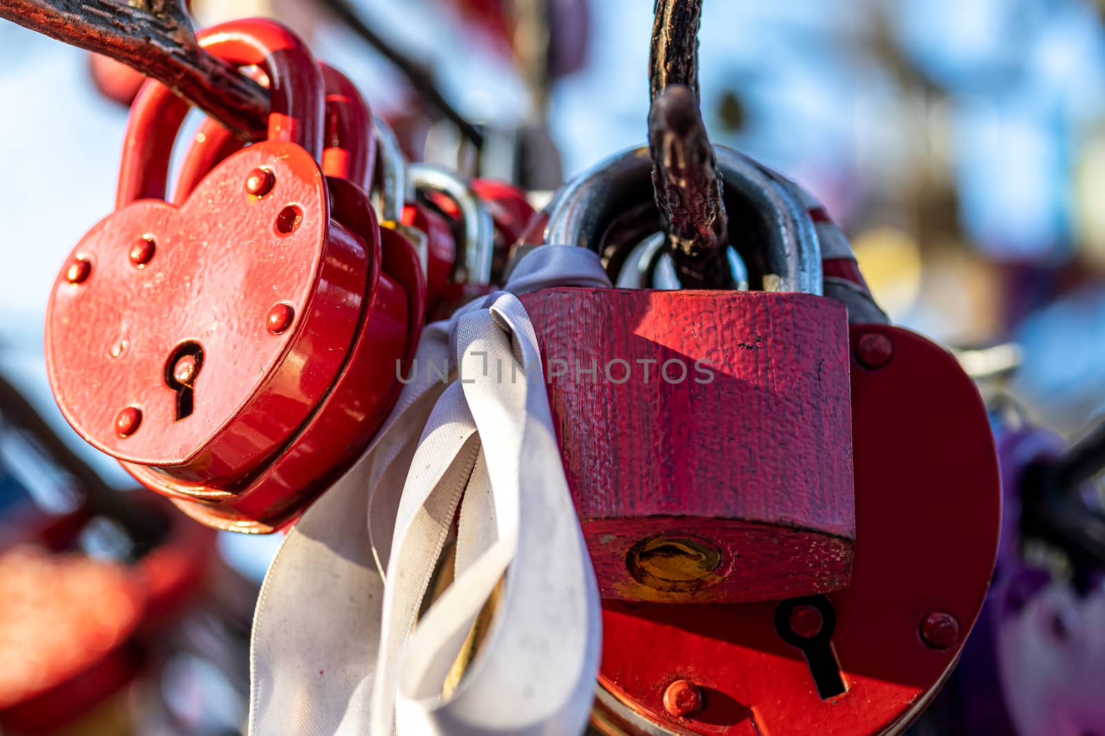 Many wedding colorful locks on a wedding tree. by Eugene_Yemelyanov